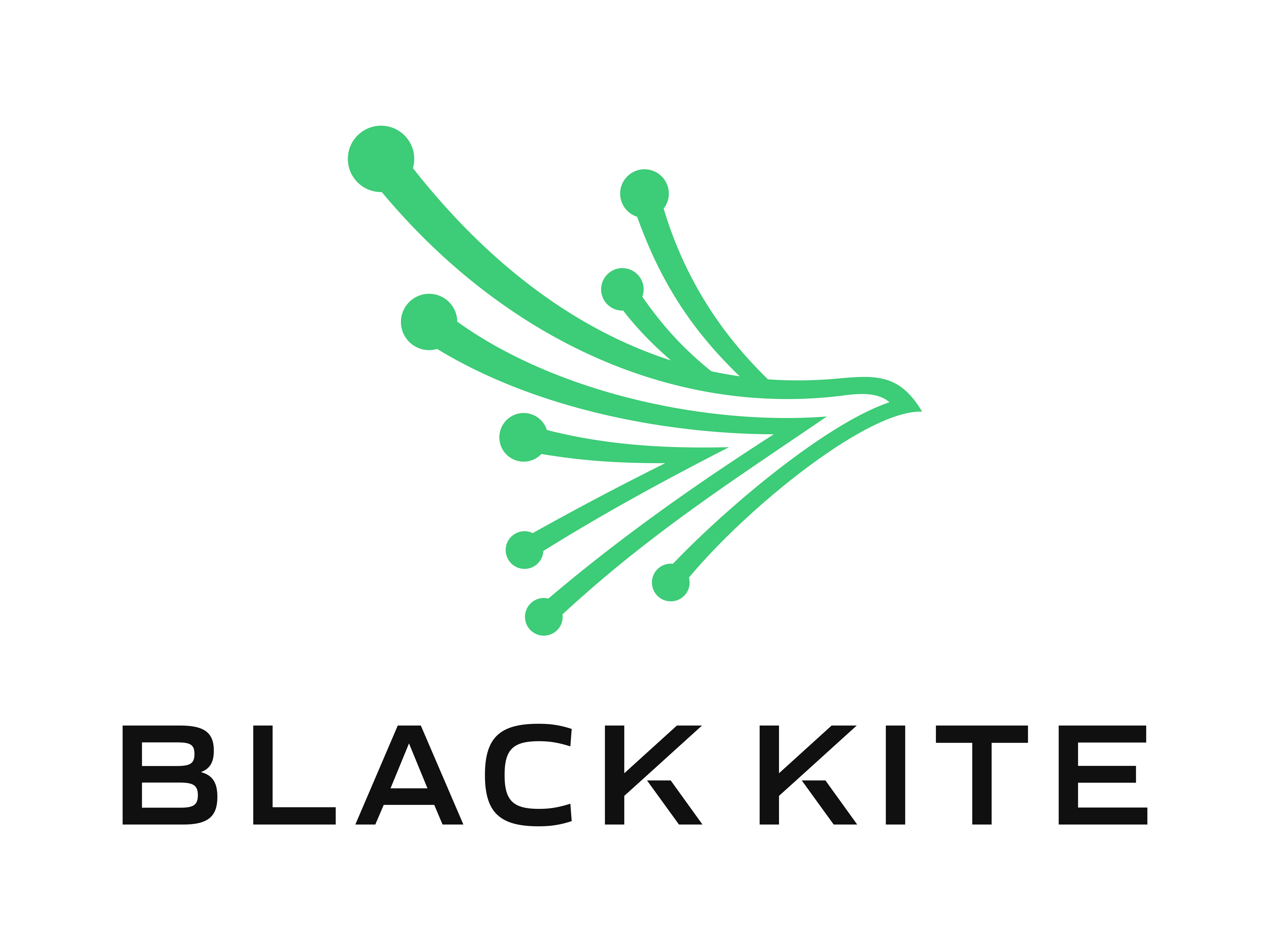 Black Kite